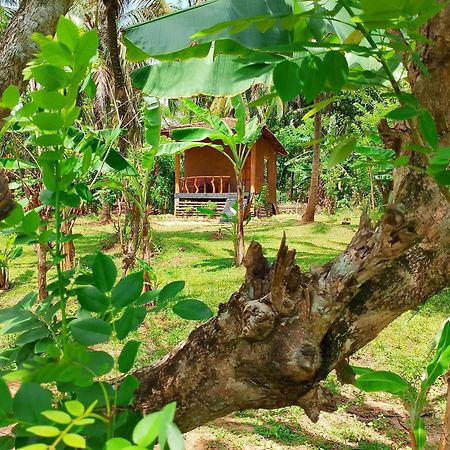 Milk House Cottage Udawalawe Exterior photo