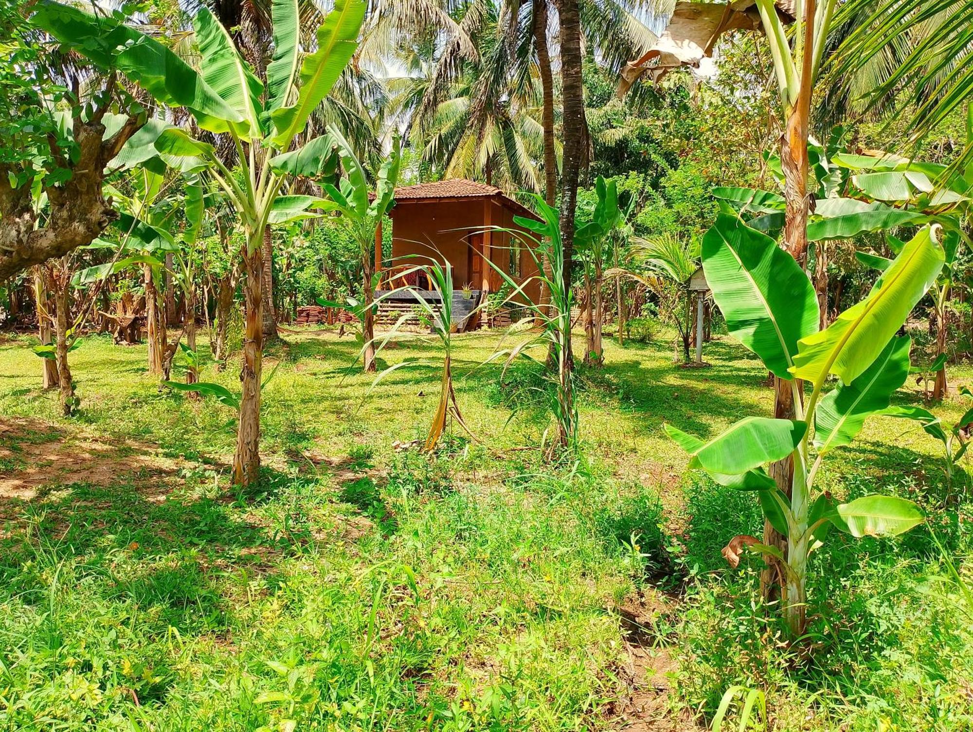 Milk House Cottage Udawalawe Exterior photo