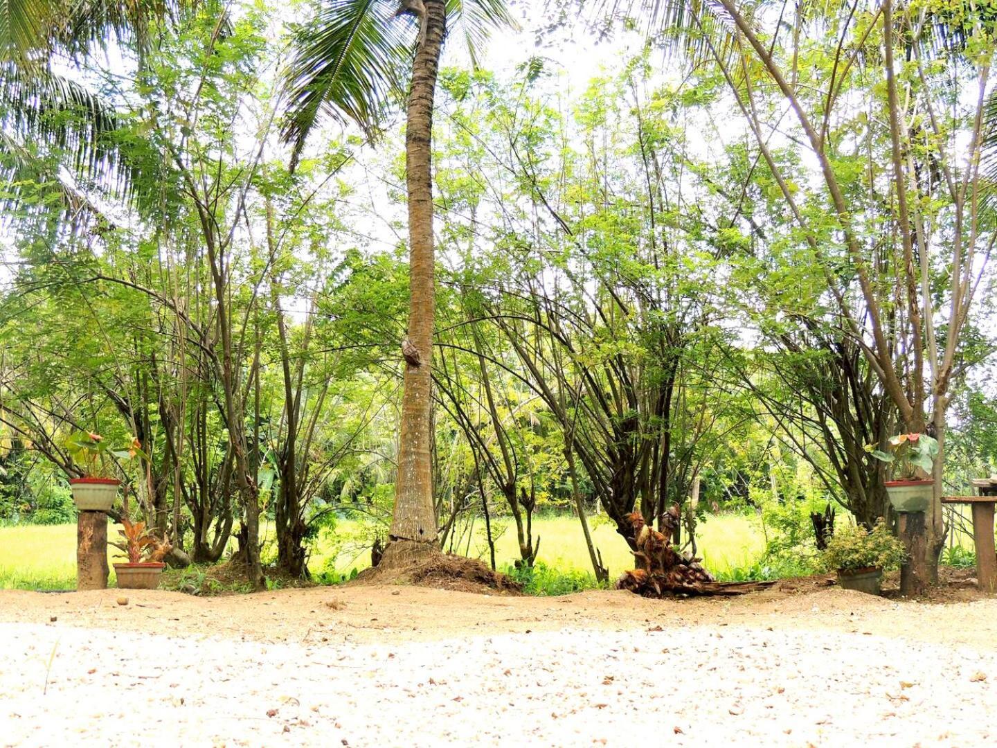 Milk House Cottage Udawalawe Exterior photo