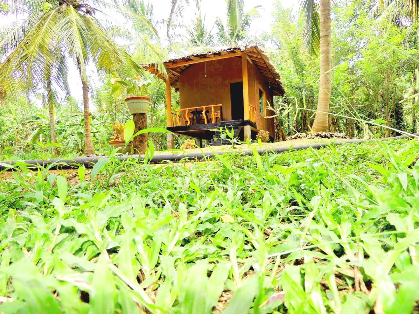 Milk House Cottage Udawalawe Exterior photo